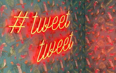 Twitter im Wahlkampf – oder wie verpacke ich meine Botschaft in 280 Zeichen